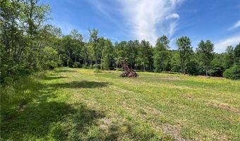 0 Woodland Hills Rd, Andes, NY 13731