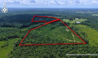 County Road 53, Banks, AL 36005