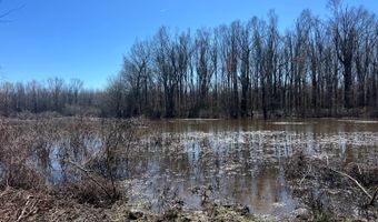 001 CR 532, Avalon, MS 38917