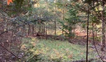 9165 Afton Rd, Afton, MI 49705