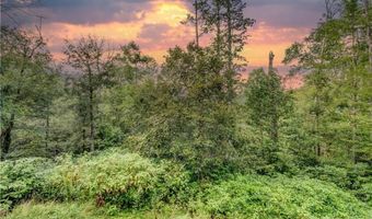 5349 Hickory Nut Gap Rd, Banner Elk, NC 28604