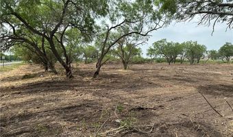 E Hwy 44 x CR 341 lot 0, Alice, TX 78332