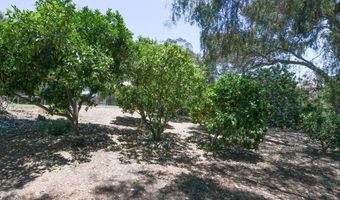 3096 Coral Tree Ln, Fallbrook, CA 92028