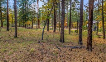 7 2190, Alpine, AZ 85920