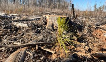 Brookside Drive, Abbeville, SC 29620