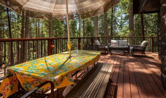 3134 Muriettas Roost, Arnold, CA 95223