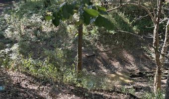 780 TOWBOAT Ln, Adamsville, TN 38310