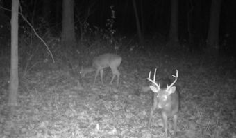 Whiskey Creek Lane, Batesville, AR 72501