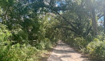SW 20th St, Bell, FL 32619