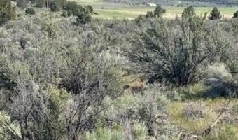 Council Butte lot 8, Beatty, OR 97621