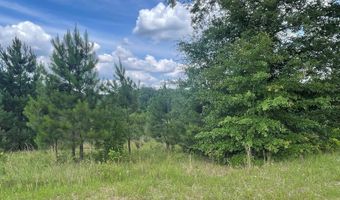 Wolf Creek Dr lot 38, Americus, GA 31719