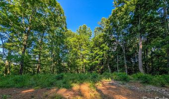 Amber Ranches 47, Bakersville, NC 28705