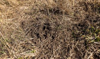 0 Thomas Rd, Altoona, KS 66710