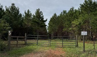 154 County Road 38 Acres, Banks, AL 36005