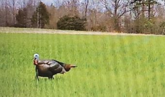 Reeves Road, Ashland, MS 38603