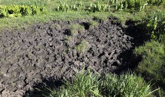 15098 CR 240, Bayfield, CO 81122