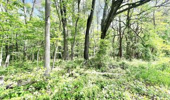 16400 28 Mile Rd, Albion, MI 49224