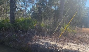 N Macedonia, Adel, GA 31602