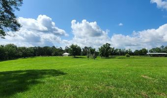 3350 SE Mt Pleasant Ln, Bogue Chitto, MS 39629