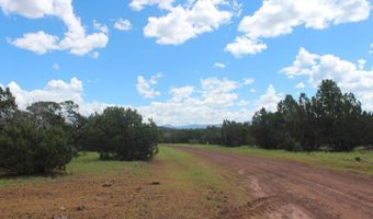 29 Co Rd 3199, Vernon, AZ 85940
