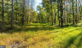 LEE HIGHWAY, Amissville, VA 20106