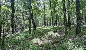 Pine Lodge Road, Batesville, MS 38606