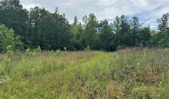 0 TANNER Ln 1, Deatsville, AL 36022