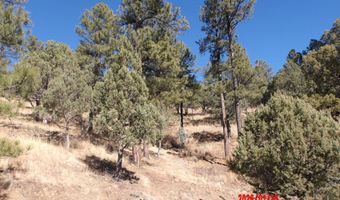 Lake Shore Drive 1, Alto, NM 88312