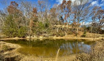 1520 Brittontown Rd, Afton, TN 37616