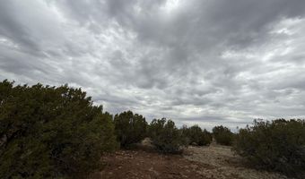 149 County Rd 8057, Concho, AZ 85924