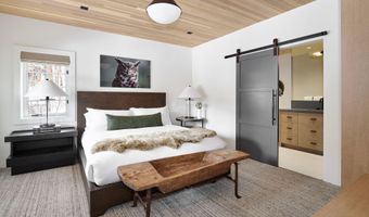 1271 Ute Ave, Aspen, CO 81611