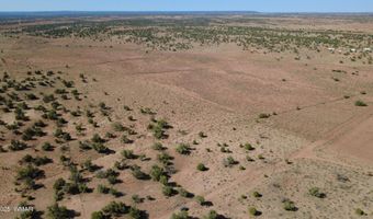 Tbd Wicked Sisters Way 38ac, Concho, AZ 85924