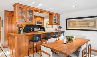 326 W Hopkins Ave, Aspen, CO 81611