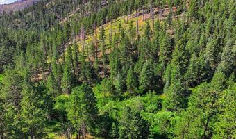 Spiritwood Ln, Bellvue, CO 80512