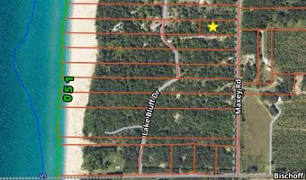 002 Maxey Rd, Arcadia, MI 49613