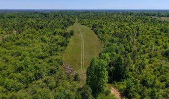 County Road 38, Autaugaville, AL 36003