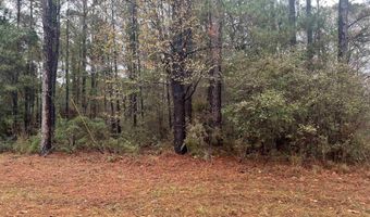 68000 Block Scranage Rd, Atmore, AL 36502