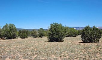 N xxxxx Road 249A, Ash Fork, AZ 86320