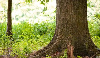 Cypress Pointe Drive lot 9, Brooksville, MS 39739