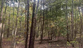 Flanagan Road, Arkadelphia, AR 71923