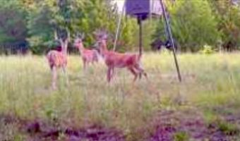 203 Fernwood Rd, Ardmore, OK 73401