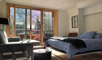 1136 Vine St 1136, Aspen, CO 81611