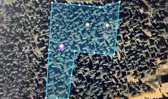 427 Wise Rd, Bailey, CO 80421