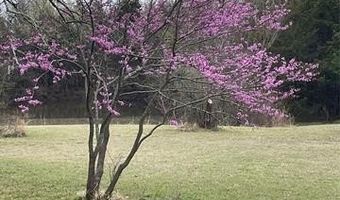 1183 Romia, Achille, OK 74726