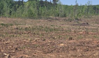 0 Elberton Hwy, Lincolnton, GA 30817