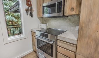 731 S Mill St 3A, Aspen, CO 81611