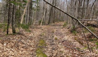 0 Clarks/Woodland Trl 409-4, Alexandria, NH 03220