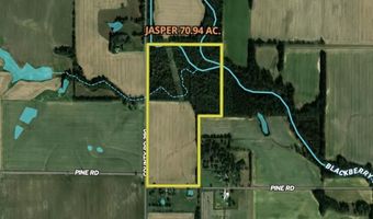 0002 CR-290, Asbury, MO 64832