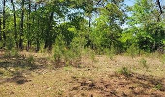 601 HERBERT BROWN Rd, Auburn, AL 36830