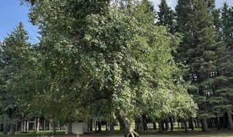2220 M-30, Alger, MI 48610